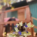 Container Com Deck E Vista I Climatizado E Aconchegante Em Curitiba Na Natureza