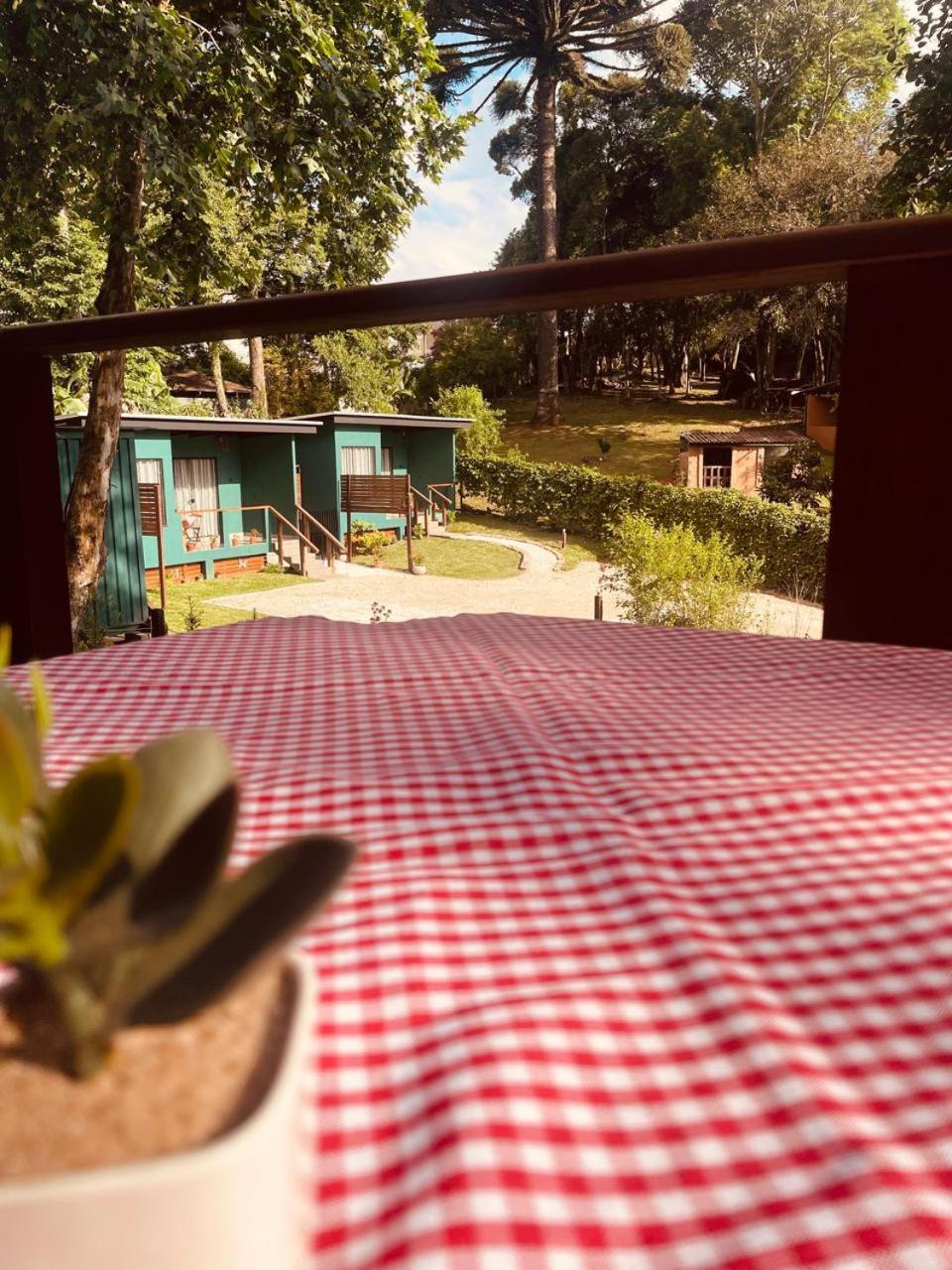 Container Com Deck E Vista I Climatizado E Aconchegante Em Curitiba Na Natureza Apartment Curitiba